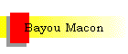 Bayou Macon